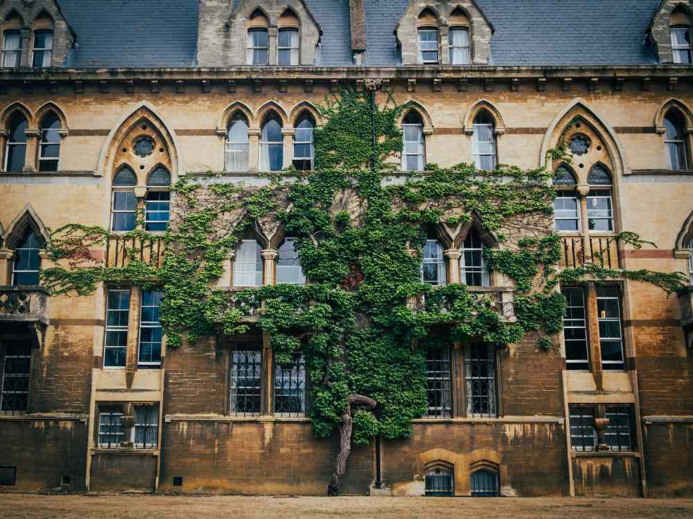 Arbre poussant dans le mur du bâtiment du Christ Church College à Oxford.